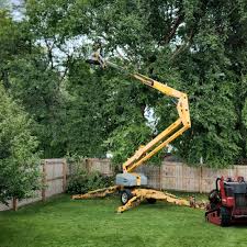 Best Tree Removal  in North Crossett, AR