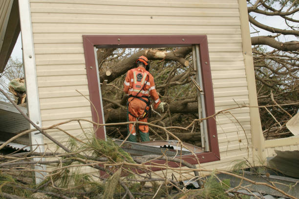 Best Tree Health Inspection  in North Crossett, AR