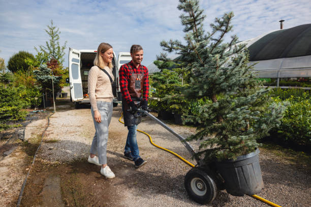 Best Fruit Tree Pruning  in North Crossett, AR